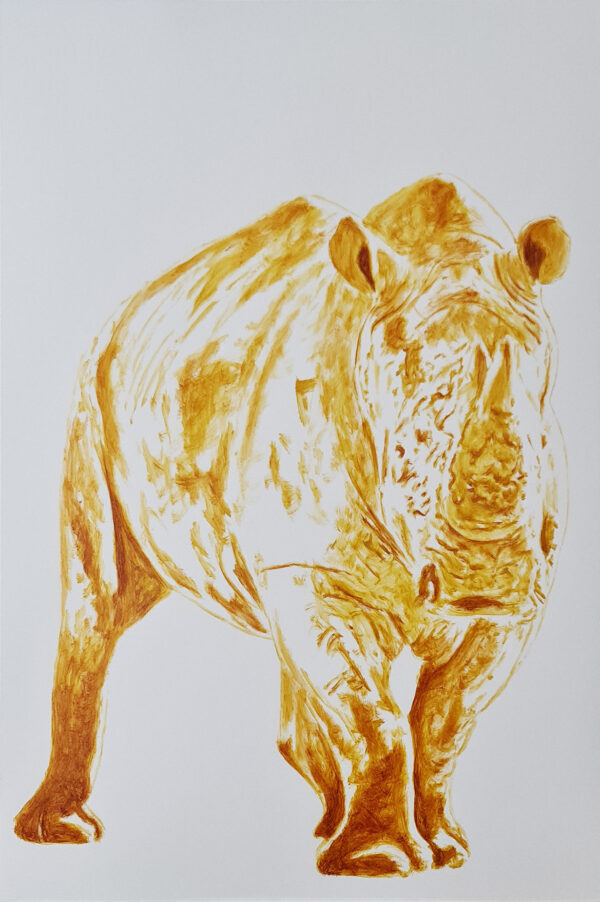 Rino